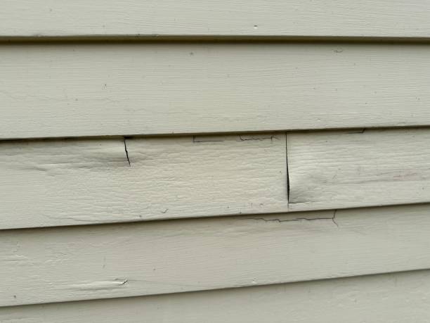 Affordable Siding Repair and Maintenance Services in Dove Valley, CO